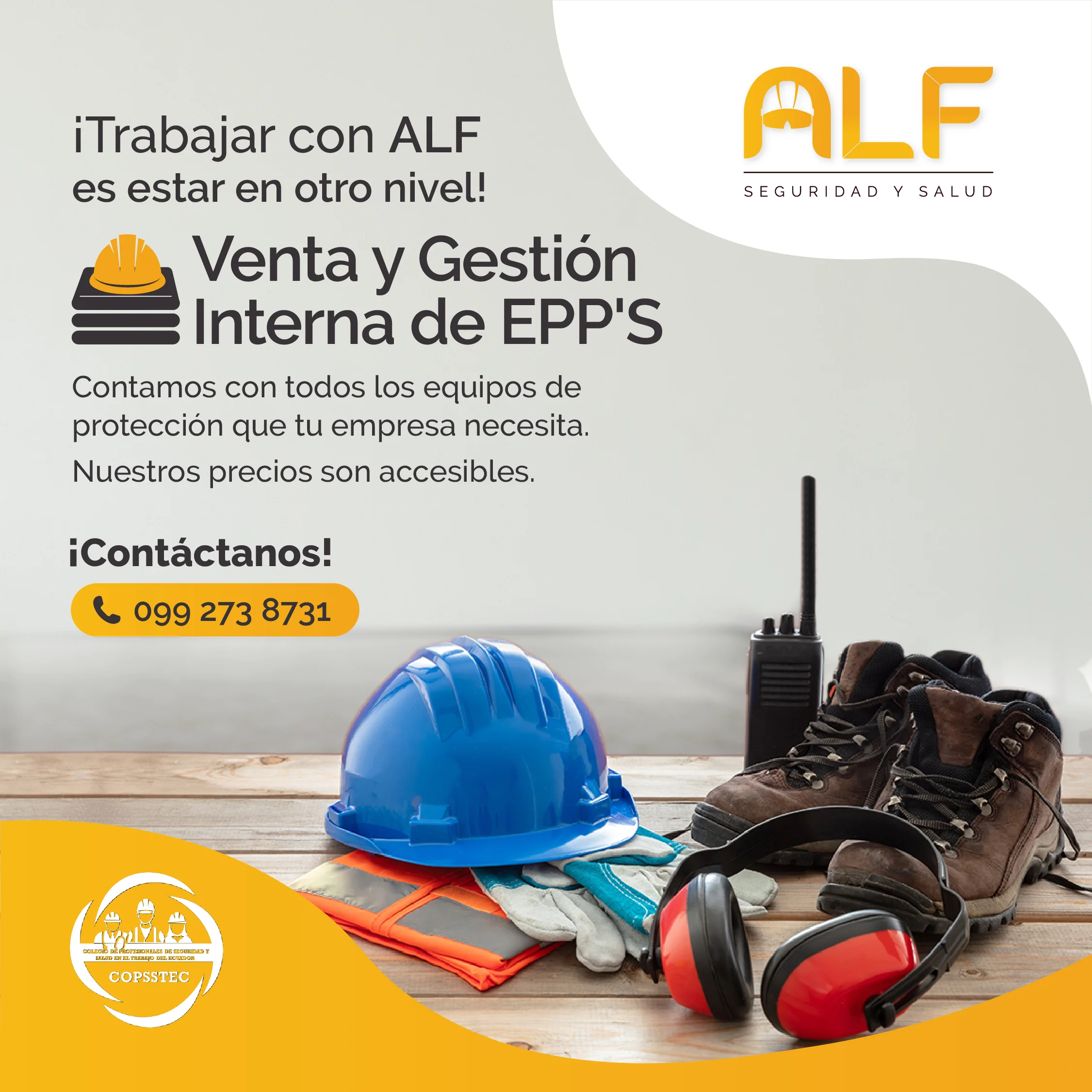 Equipo profesional